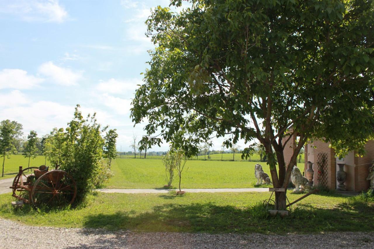 New Flowers Farm Noceto